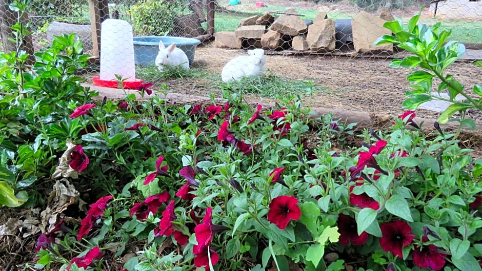 Old Inchgarth Farmstay