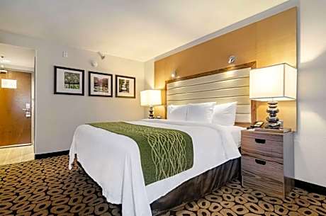 Queen Room - Accessible/Nonsmoking