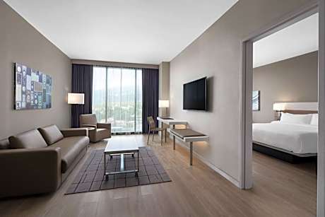 Suite, One King, Sofa Bed