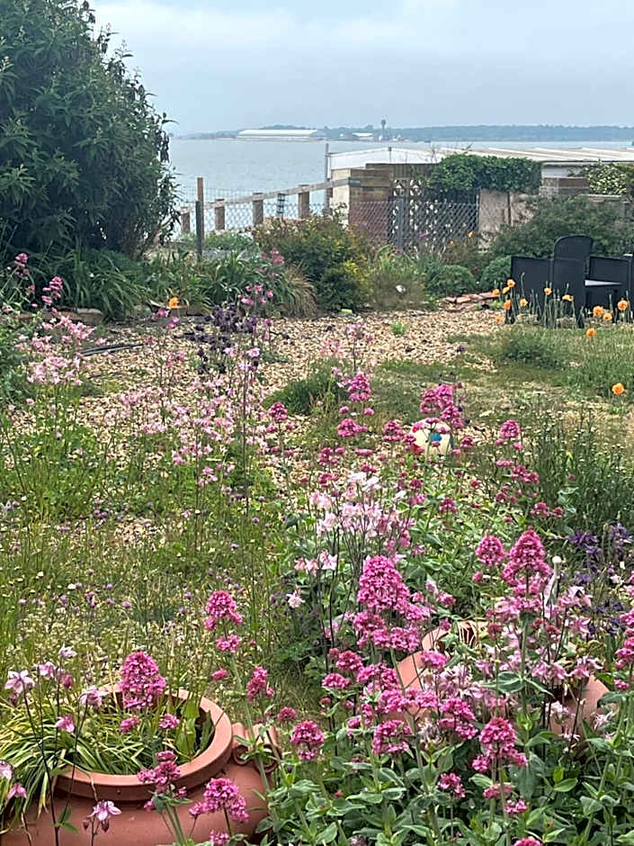 Cove Cott Guest Accommodation