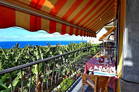 Caracol Trail Mountain La Palma junto a Trebol