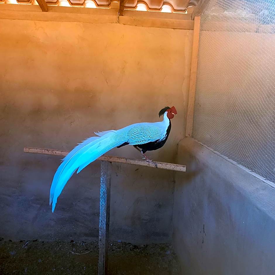 Pousada Campestre Vila Tiradentes