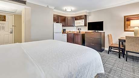 King Studio Suite - Interior