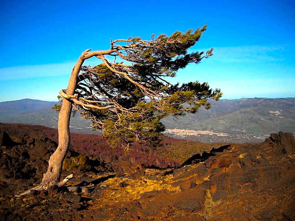 Etna B&B La casa di Pippinitto