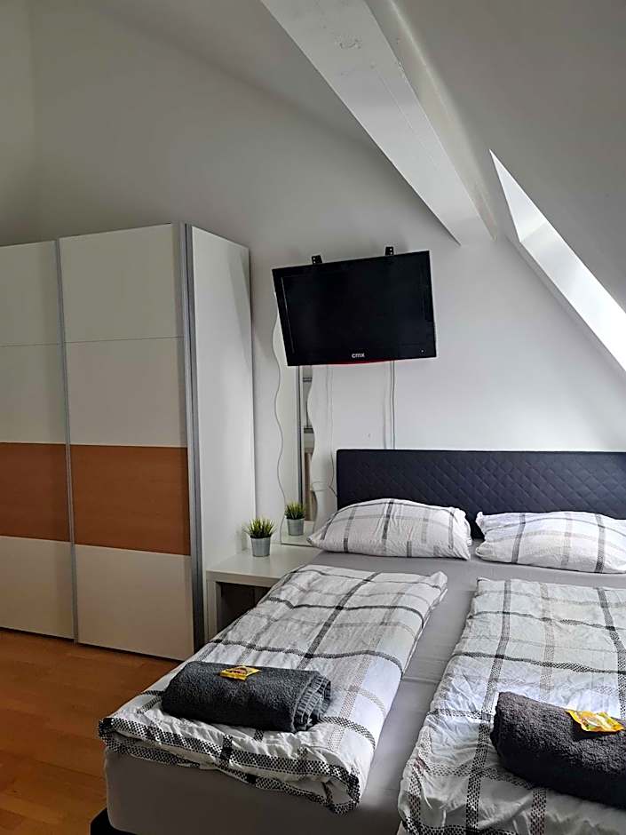 Simplex Apartments Am Ludwigsplatz