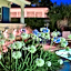 Cumbali Konak Hotel (Adults Only 12)