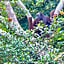 Borneo Jungle Adventure