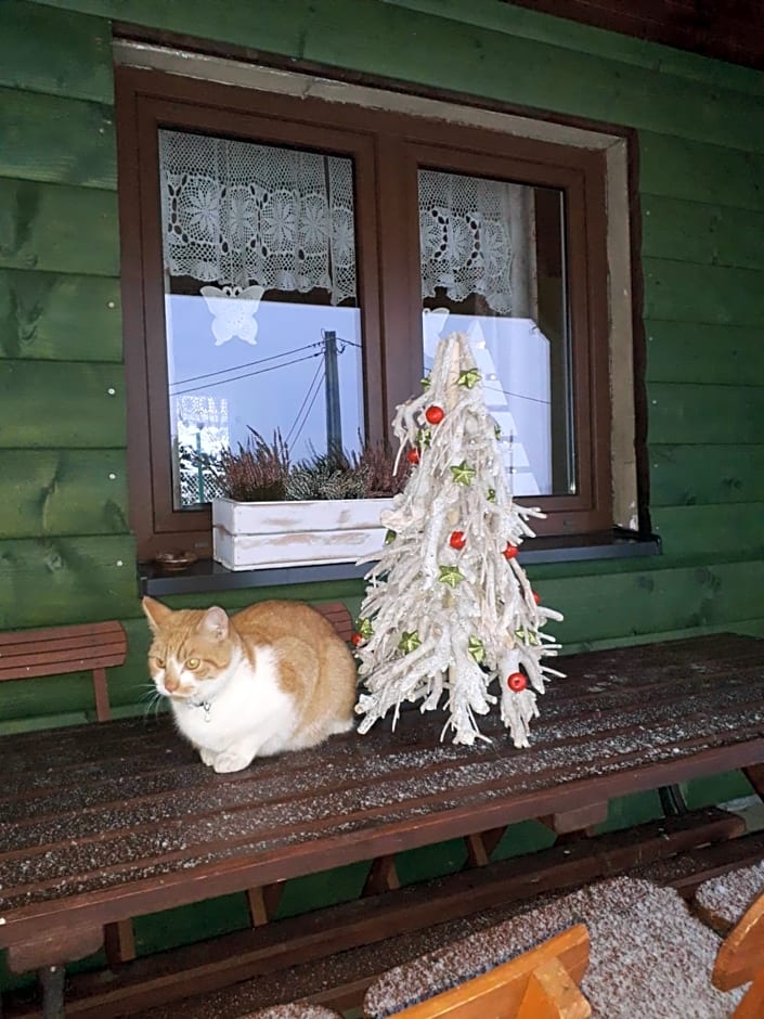 Domki i Apartamenty Rogate Anioły