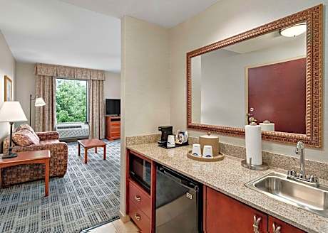 King Studio Suite with Sofa Bed - Non-Smoking