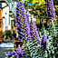 The Avalon Hotel in Catalina Island