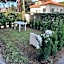 Villa Costa Fiorita
