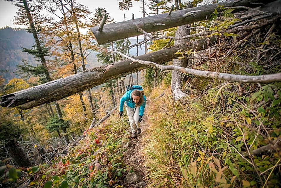 Hotel Schwarzwaldhof