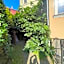 Hotel Bończa