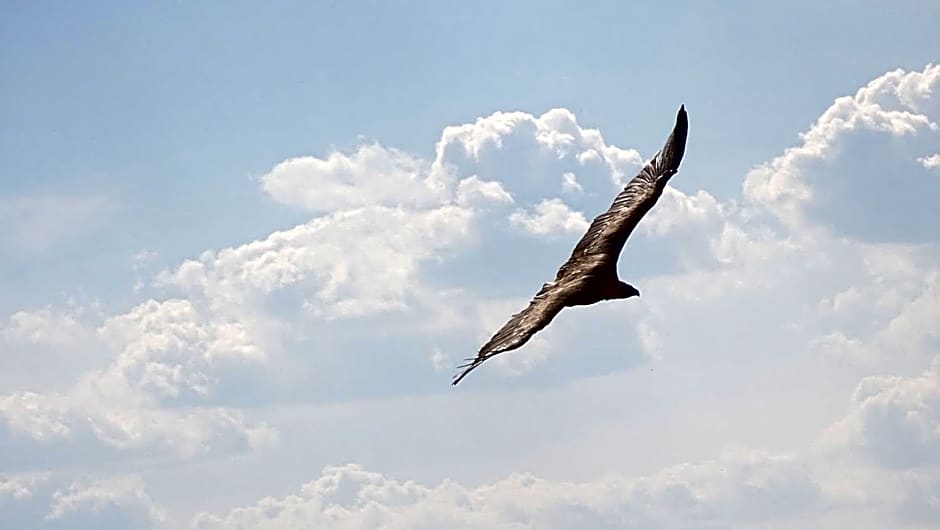 Hotel Cardamomo Sigüenza