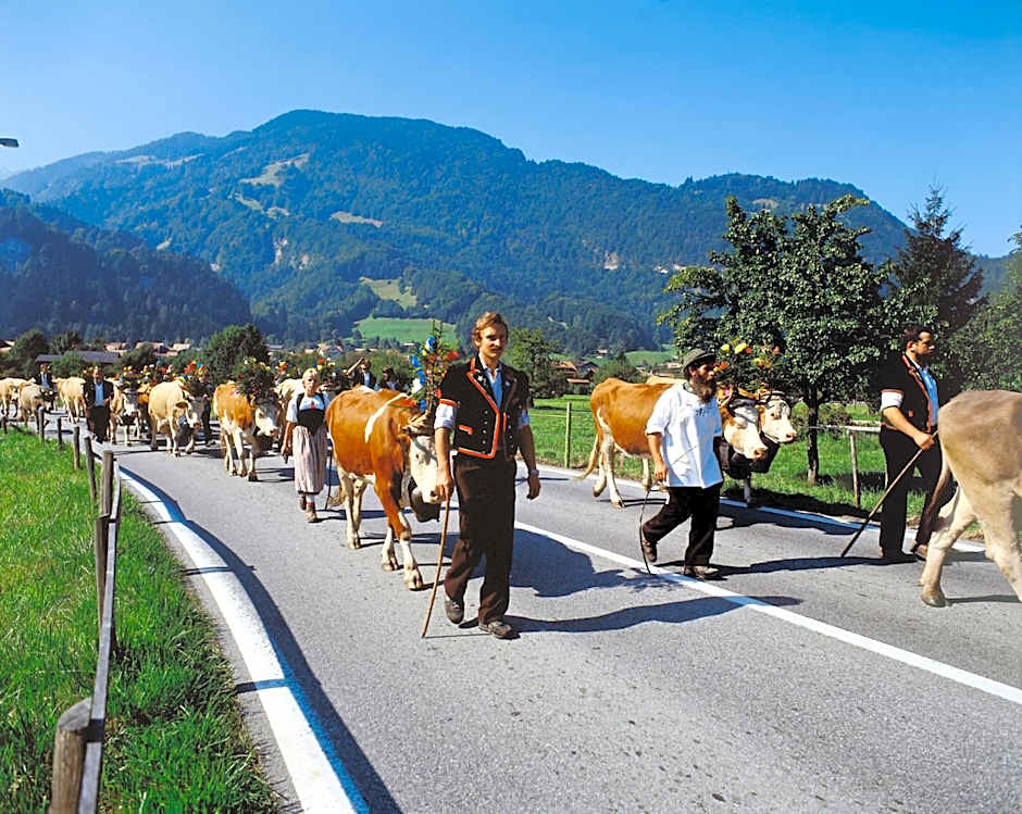 Chalet Gafri -Boutique B&B - comfort and hospitality - near Interlaken