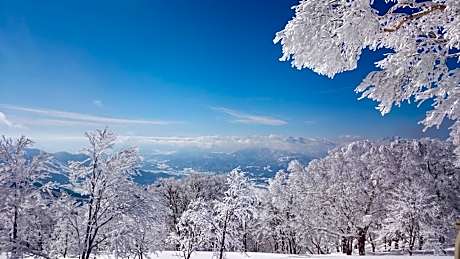 Nozawa Dream