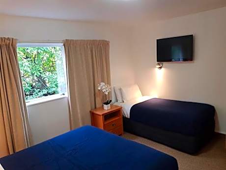 One-Bedroom Apartment with Mountain View