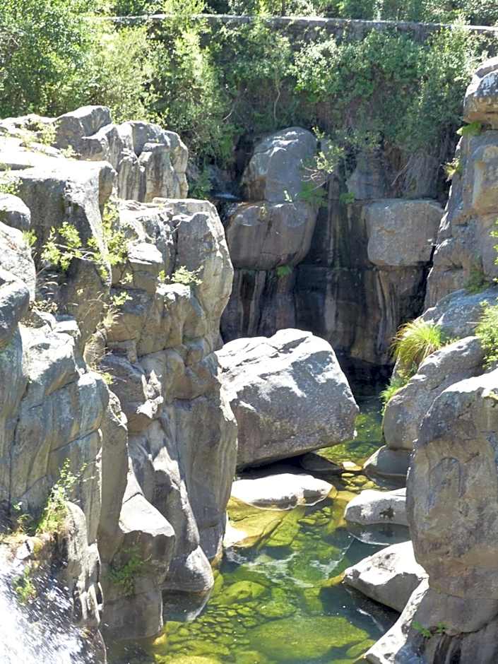 Mountain Log Cabin O Lobo