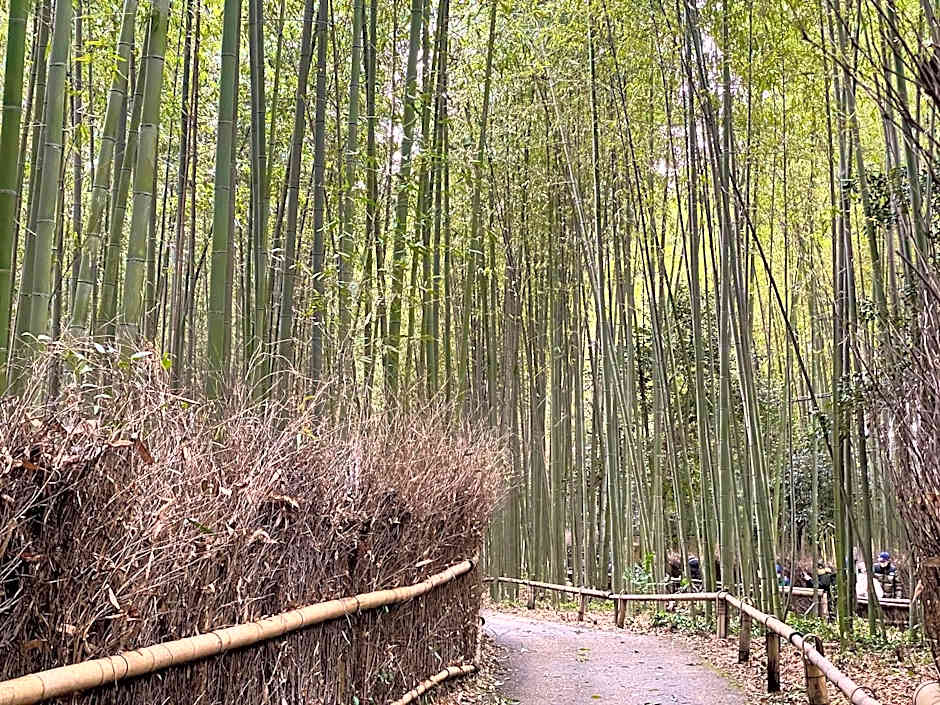 Yado Arashiyama -13歳以上限定-