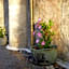 Baglio Delle Rose