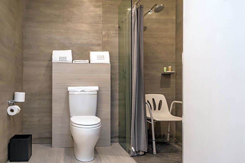 Four Points by Sheraton Puebla