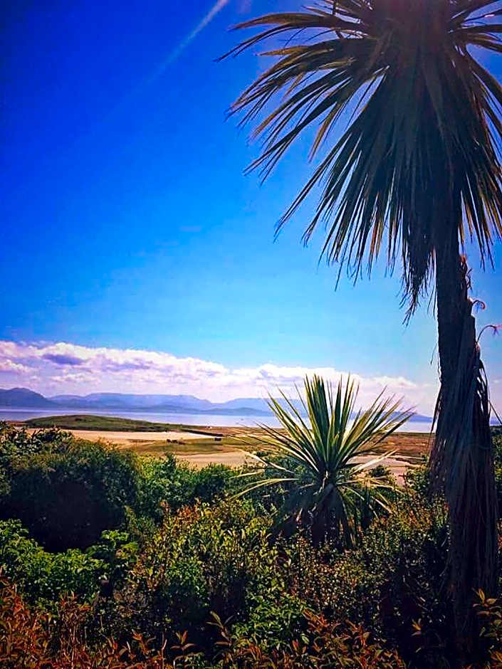 McLoughlins Of Mulranny