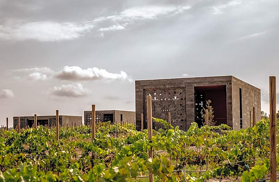 Casa Raices Hotel Luxury & Vinedo