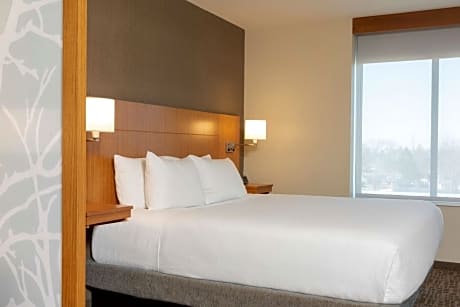 King Room with Sofa Bed and Roll-In Shower - Disability Access