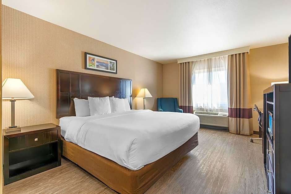 Photo 1 of 4 of 1 King Bed, Pet-Friendly