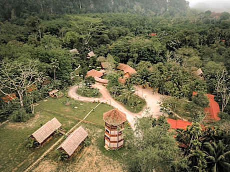 Our Jungle Camp - Eco Resort