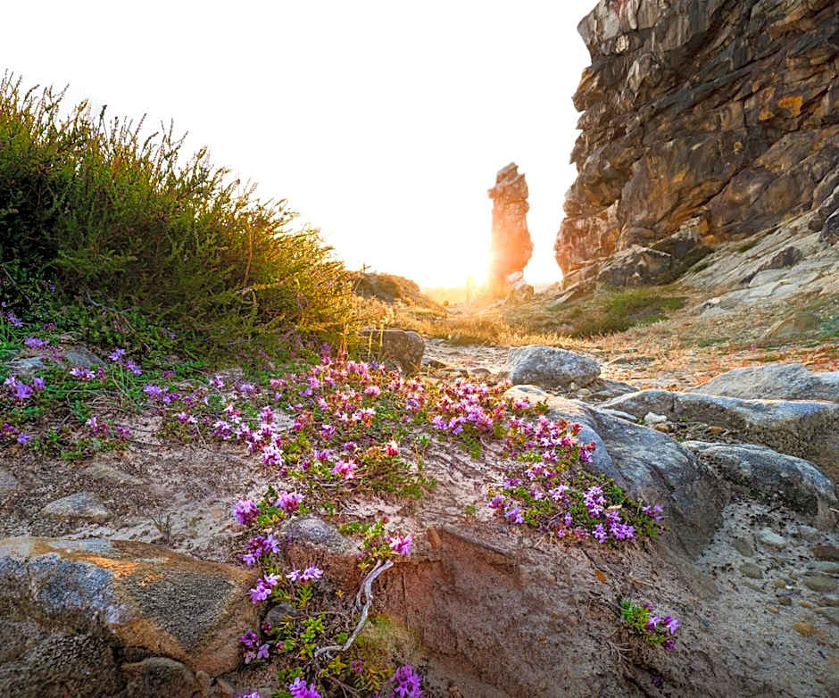 Harz Hotel Vogelberg