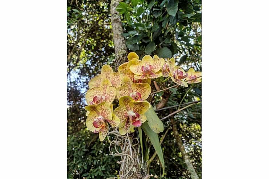 Pousada Chalé Terra Viva