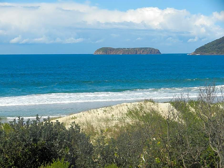 Oceanside Hawks Nest