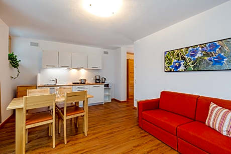 Big One-Bedroom Apartment