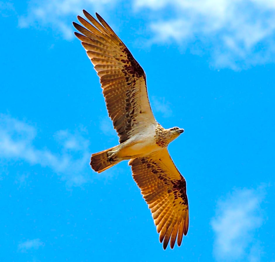 Mackerel Islands Resort