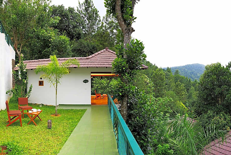 Forest Canopy Resort