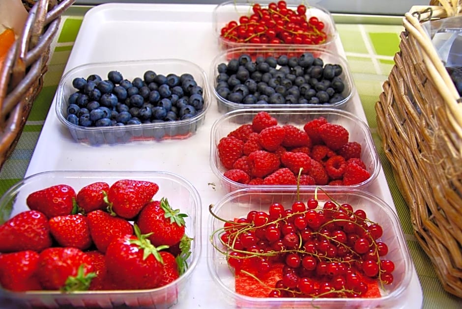 B&B dalla fattoria della Patty