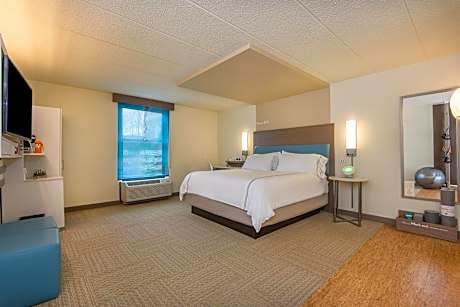 Standard King Room with Mobility Accessible Roll-In Shower