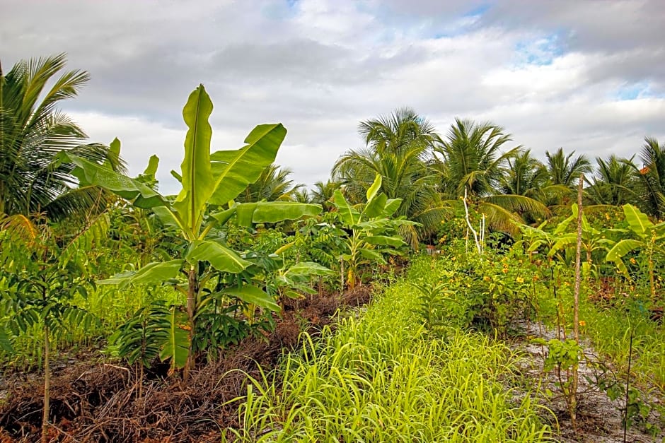 Fazenda Eco-Jardim