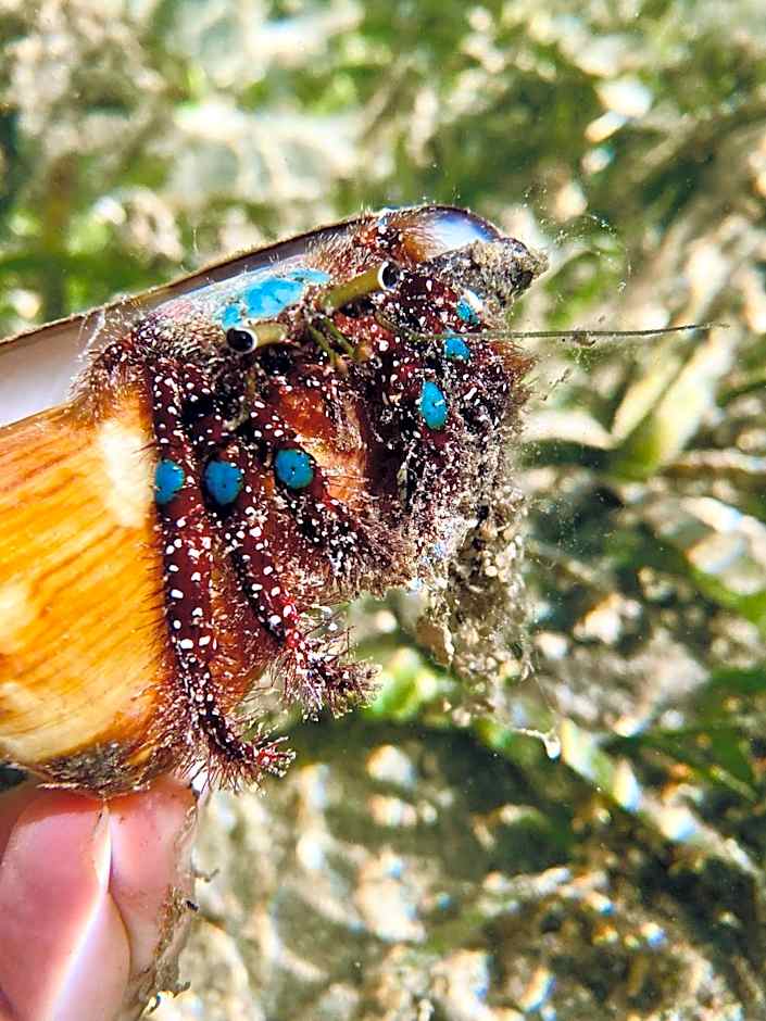 Miley Lodging Restobar