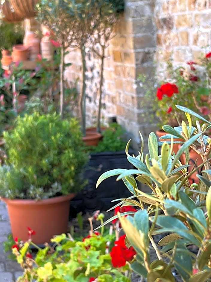 The Royal Harbour Hotel