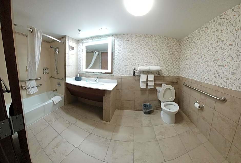 Holiday Inn McAllen Medical Center Area By IHG