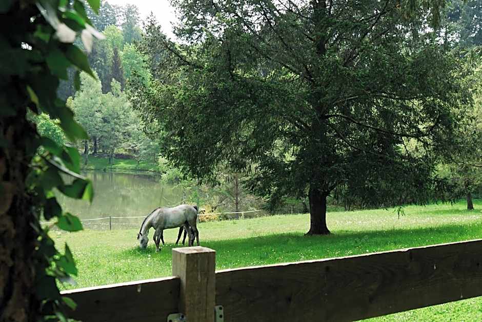 Manoir de Chantemerle
