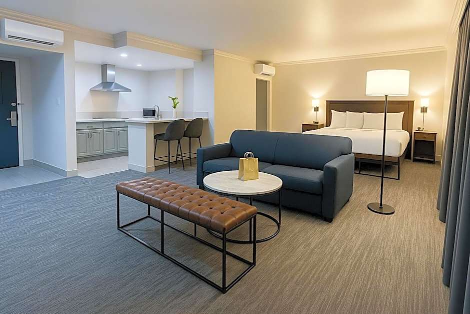 The Live Hotel
