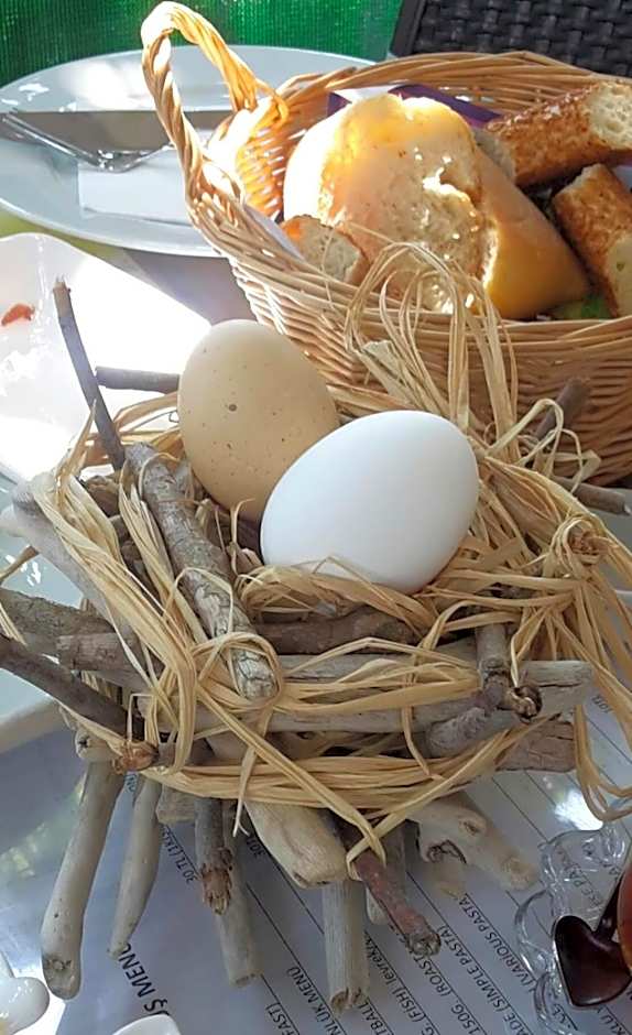 KUŞ YUVASI PANSiYON