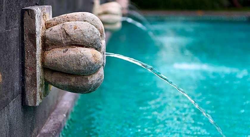 Lovina life Room & Cafe