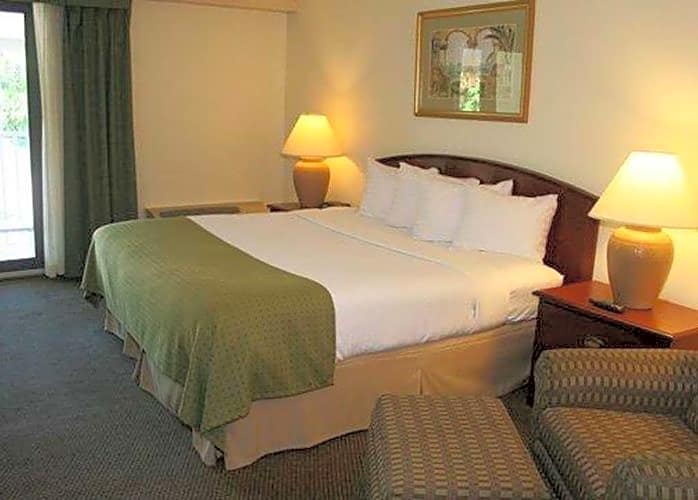 Quality Inn & Suites Tarpon Springs South