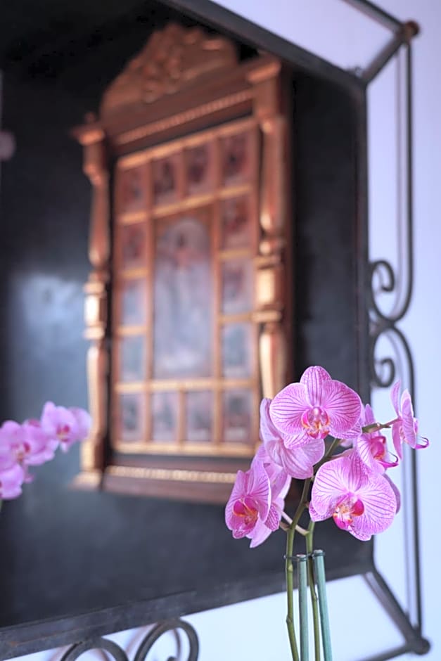 CASA ALFAREROS