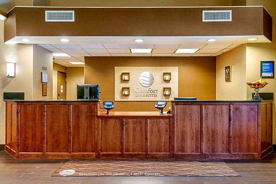 Comfort Inn and Suites Galt - Lodi North