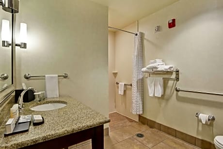 2 Queen Suite Accessible with Roll In Shower Non-Smoking